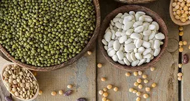 Cultures mineures, intérêt majeur pour la biodiversité