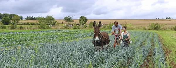 Ardennes bio, une culture de groupe Ardennes bio, une culture de groupe